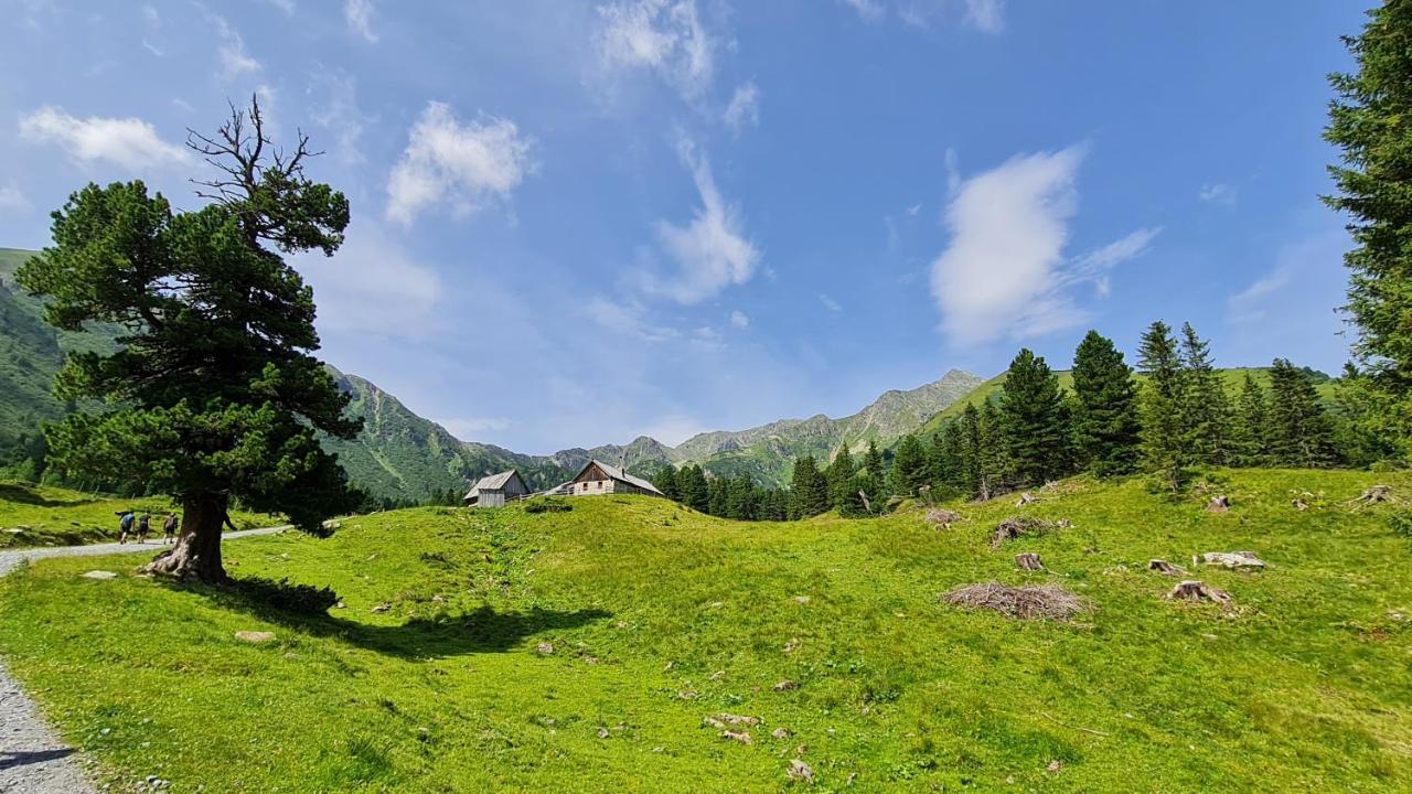 Villa Haus Emmy - Urlaub Bei Freunden Hohentauern Exterior foto