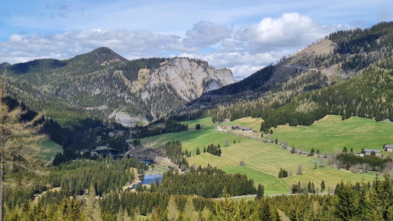 Villa Haus Emmy - Urlaub Bei Freunden Hohentauern Exterior foto